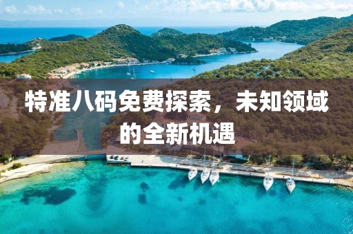 特准八码免费探索，未知领域的全新机遇