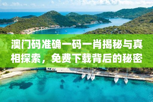 澳门码准确一码一肖揭秘与真相探索，免费下载背后的秘密