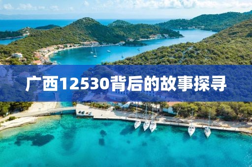 广西12530背后的故事探寻