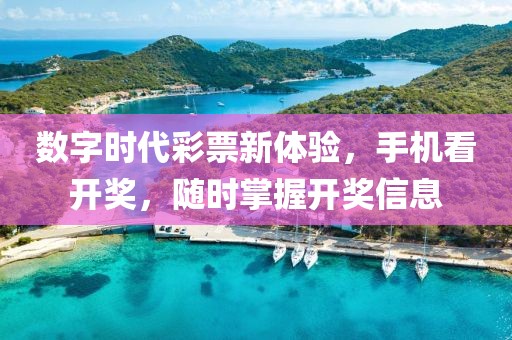 数字时代彩票新体验，手机看开奖，随时掌握开奖信息