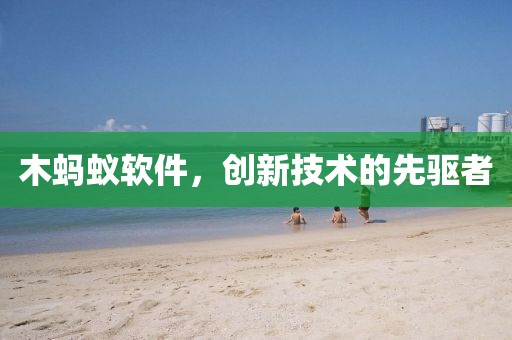 木蚂蚁软件，创新技术的先驱者