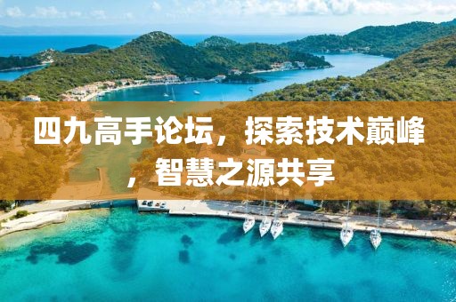 四九高手论坛，探索技术巅峰，智慧之源共享