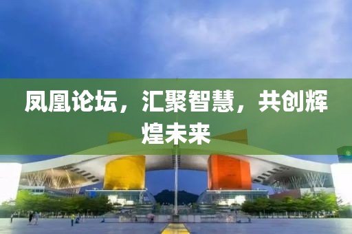 凤凰论坛，汇聚智慧，共创辉煌未来