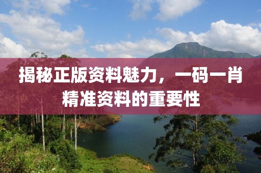 揭秘正版资料魅力，一码一肖精准资料的重要性