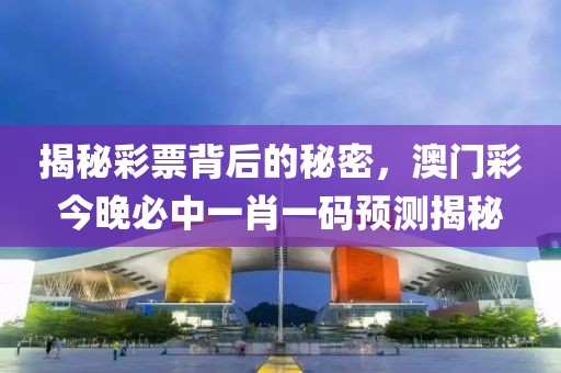 揭秘彩票背后的秘密，澳门彩今晚必中一肖一码预测揭秘