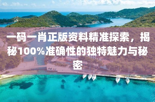 一码一肖正版资料精准探索，揭秘100%准确性的独特魅力与秘密