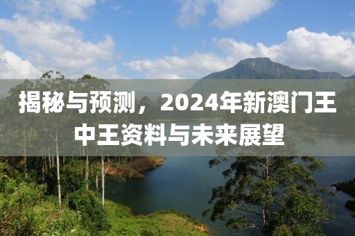 揭秘与预测，2024年新澳门王中王资料与未来展望