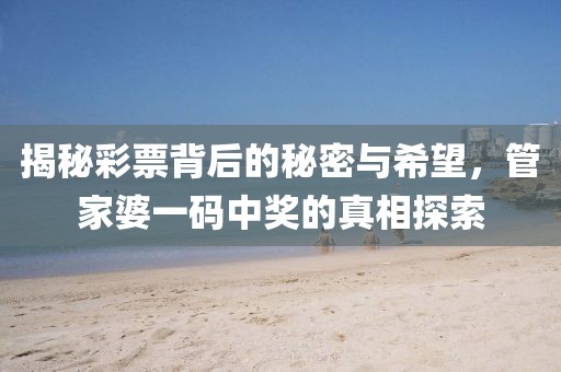 揭秘彩票背后的秘密与希望，管家婆一码中奖的真相探索