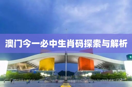 澳门今一必中生肖码探索与解析