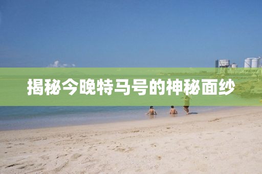 揭秘今晚特马号的神秘面纱