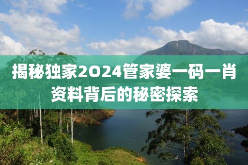揭秘独家2O24管家婆一码一肖资料背后的秘密探索