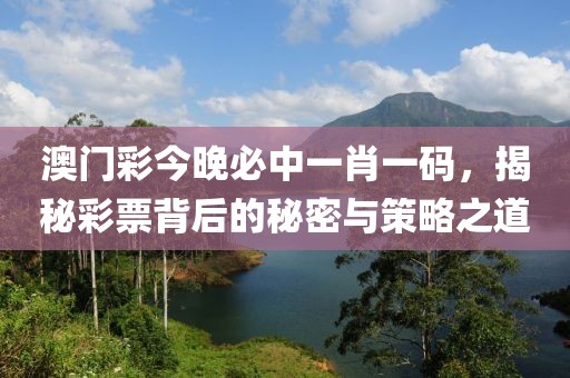 澳门彩今晚必中一肖一码，揭秘彩票背后的秘密与策略之道
