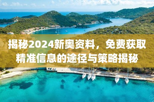 揭秘2024新奥资料，免费获取精准信息的途径与策略揭秘