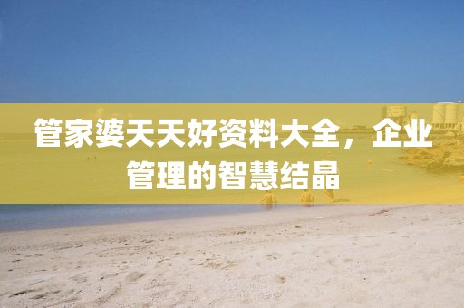 管家婆天天好资料大全，企业管理的智慧结晶