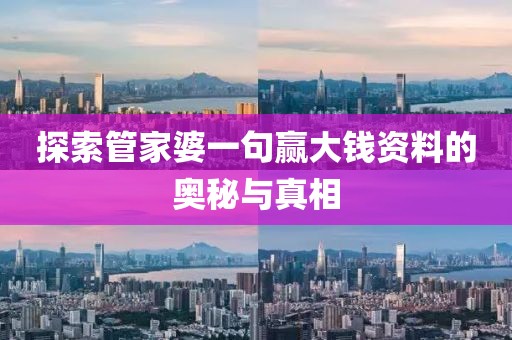 探索管家婆一句赢大钱资料的奥秘与真相