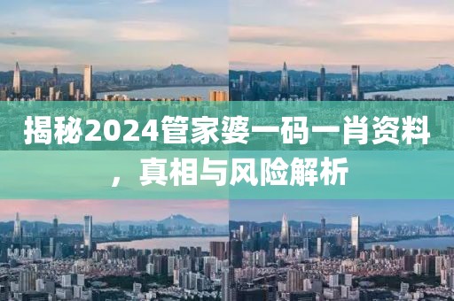 揭秘2024管家婆一码一肖资料，真相与风险解析