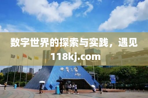 数字世界的探索与实践，遇见 118kj.com