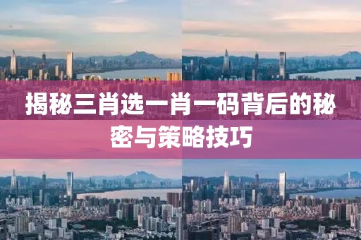 揭秘三肖选一肖一码背后的秘密与策略技巧