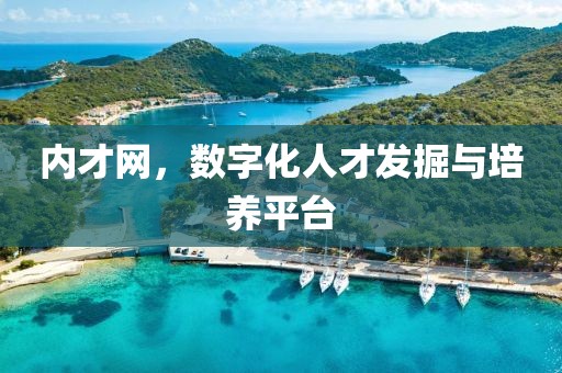 内才网，数字化人才发掘与培养平台