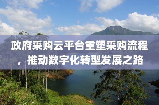 政府采购云平台重塑采购流程，推动数字化转型发展之路