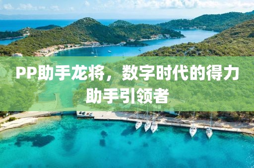 PP助手龙将，数字时代的得力助手引领者