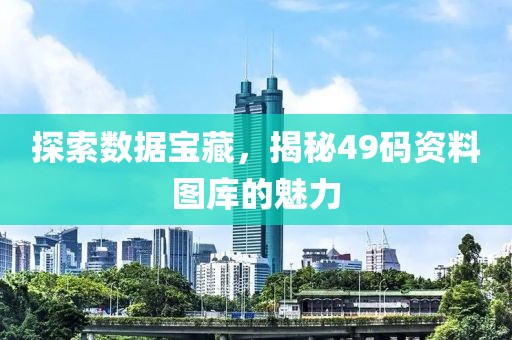 探索数据宝藏，揭秘49码资料图库的魅力
