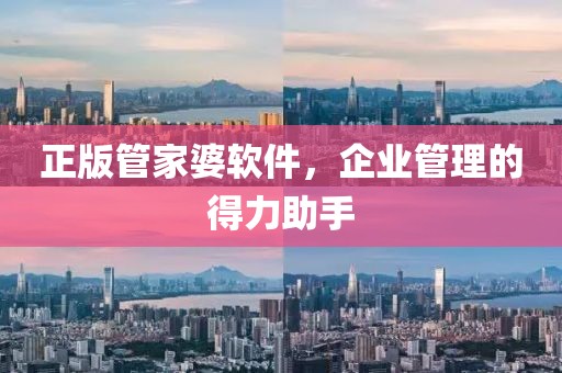正版管家婆软件，企业管理的得力助手