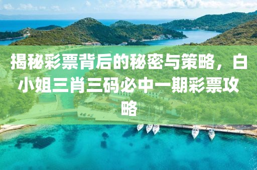 揭秘彩票背后的秘密与策略，白小姐三肖三码必中一期彩票攻略