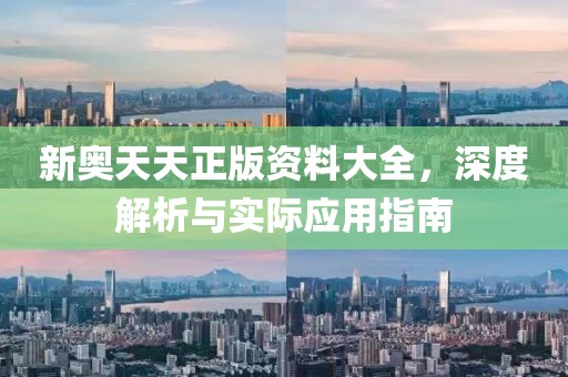 新奥天天正版资料大全，深度解析与实际应用指南