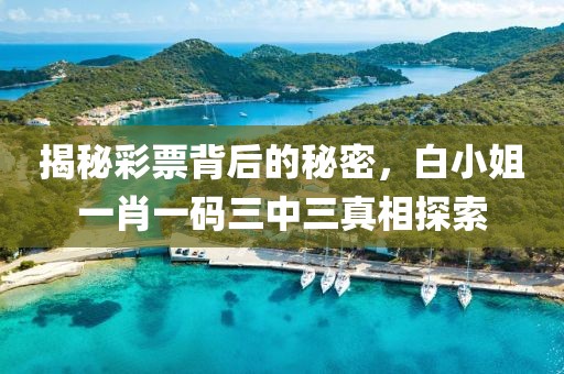 揭秘彩票背后的秘密，白小姐一肖一码三中三真相探索