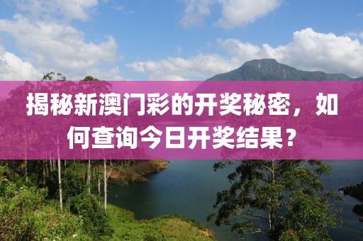 揭秘新澳门彩的开奖秘密，如何查询今日开奖结果？