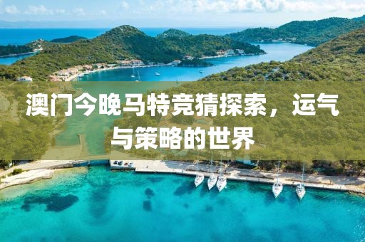 澳门今晚马特竞猜探索，运气与策略的世界