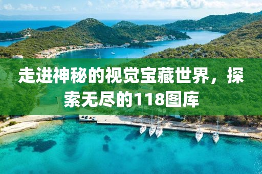 走进神秘的视觉宝藏世界，探索无尽的118图库