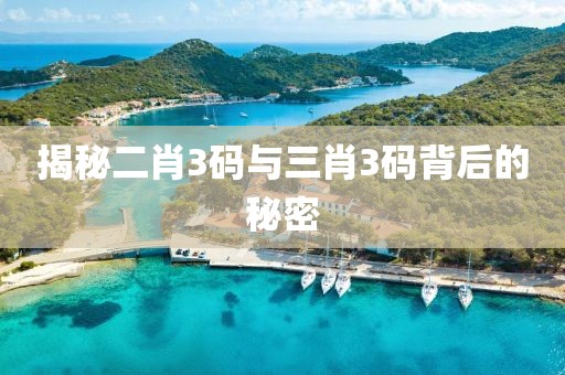 揭秘二肖3码与三肖3码背后的秘密