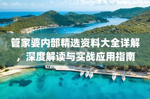 管家婆内部精选资料大全详解，深度解读与实战应用指南