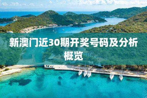 新澳门近30期开奖号码及分析概览