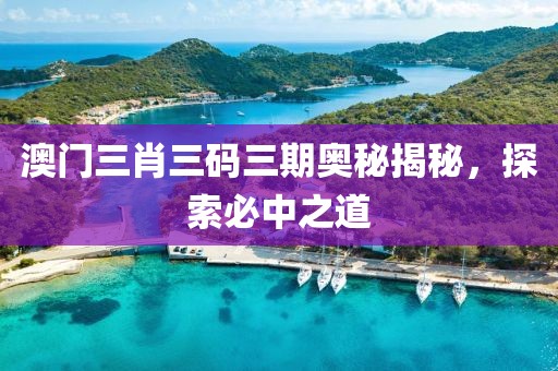 澳门三肖三码三期奥秘揭秘，探索必中之道