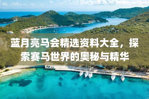 蓝月亮马会精选资料大全