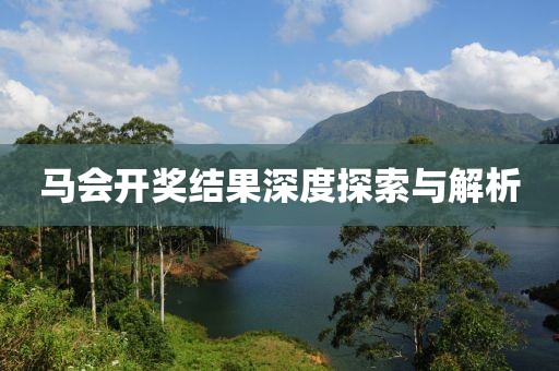 马会开奖结果深度探索与解析