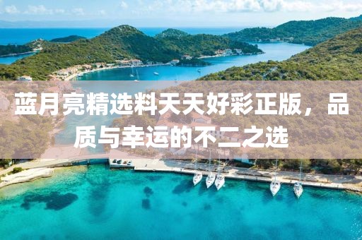 蓝月亮精选料天天好彩正版，品质与幸运的不二之选