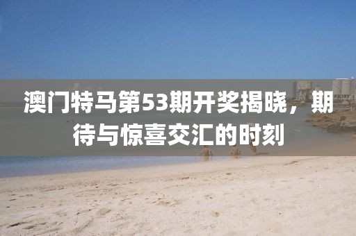 澳门特马第53期开奖揭晓，期待与惊喜交汇的时刻