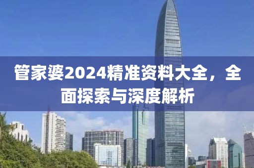 管家婆2024精准资料大全，全面探索与深度解析