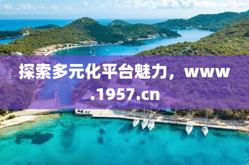 探索多元化平台魅力，www.1957.cn
