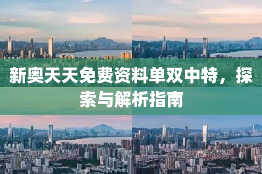 新奥天天免费资料单双中特，探索与解析指南