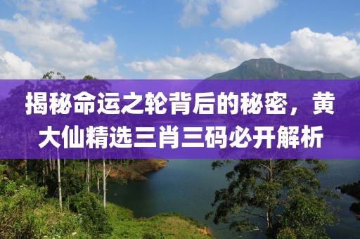 揭秘命运之轮背后的秘密，黄大仙精选三肖三码必开解析