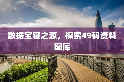 数据宝藏之源，探索49码资料图库