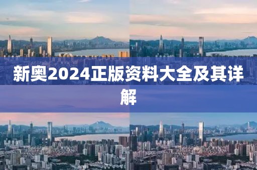 新奥2024正版资料大全及其详解
