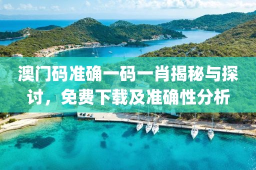 澳门码准确一码一肖揭秘与探讨，免费下载及准确性分析