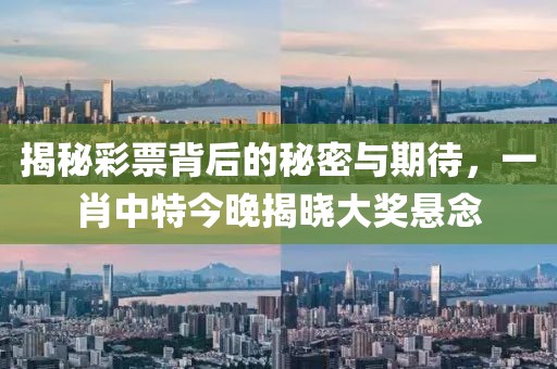 揭秘彩票背后的秘密与期待，一肖中特今晚揭晓大奖悬念
