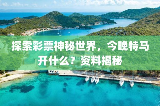 探索彩票神秘世界，今晚特马开什么？资料揭秘